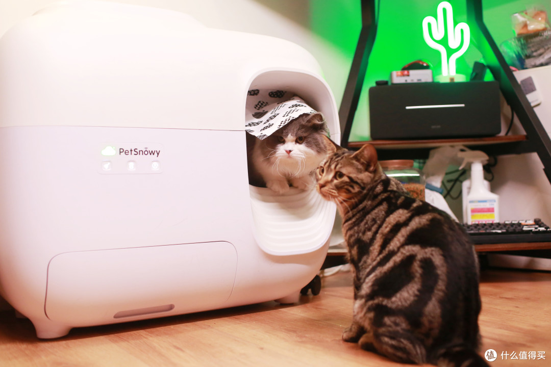 科技铲屎,告别臭臭——糯雪SNOW智能全自动猫砂盆帮我省时省力_猫砂盆_什么值得买