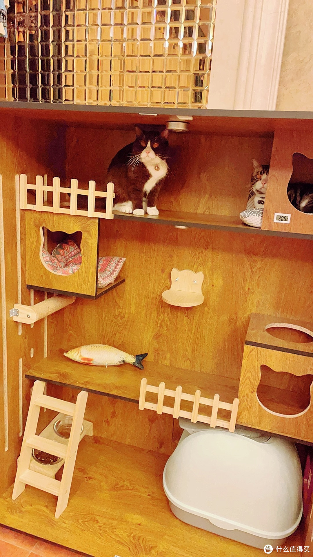 猫别墅清仓铁网室内猫柜猫窝超大自由空间豪华小猫别墅猫咪笼子