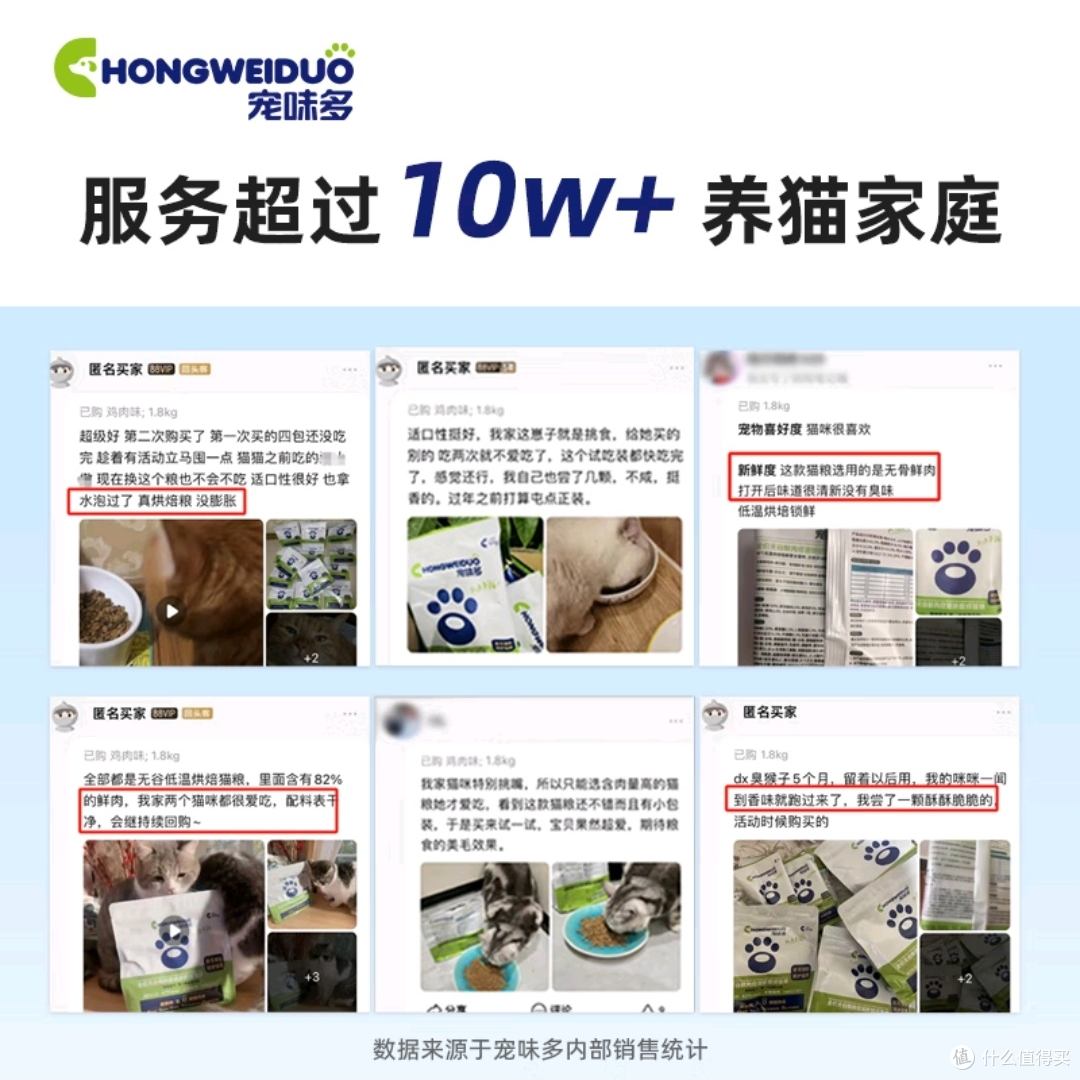 流浪街头的它们