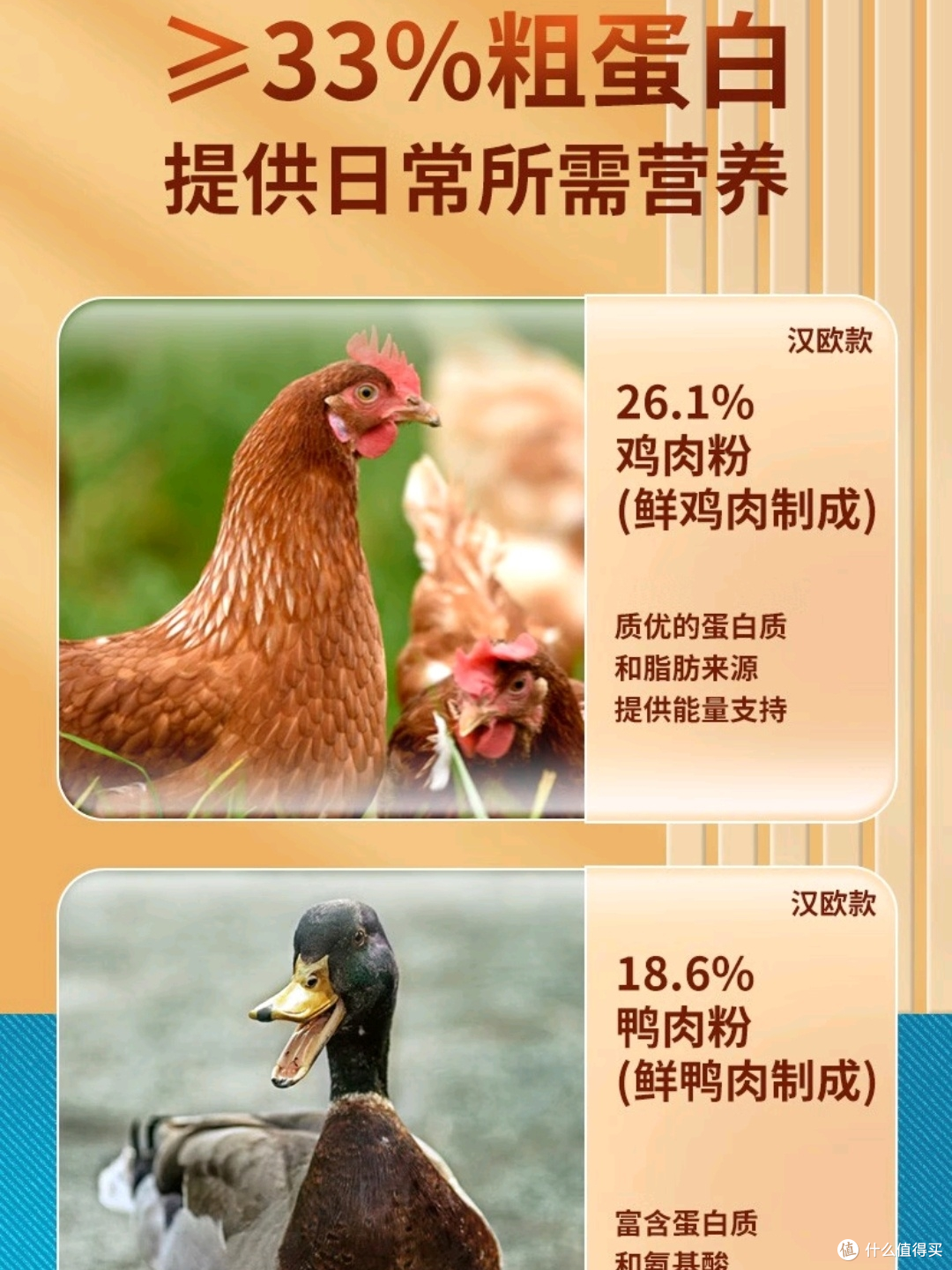 流浪街头的它们