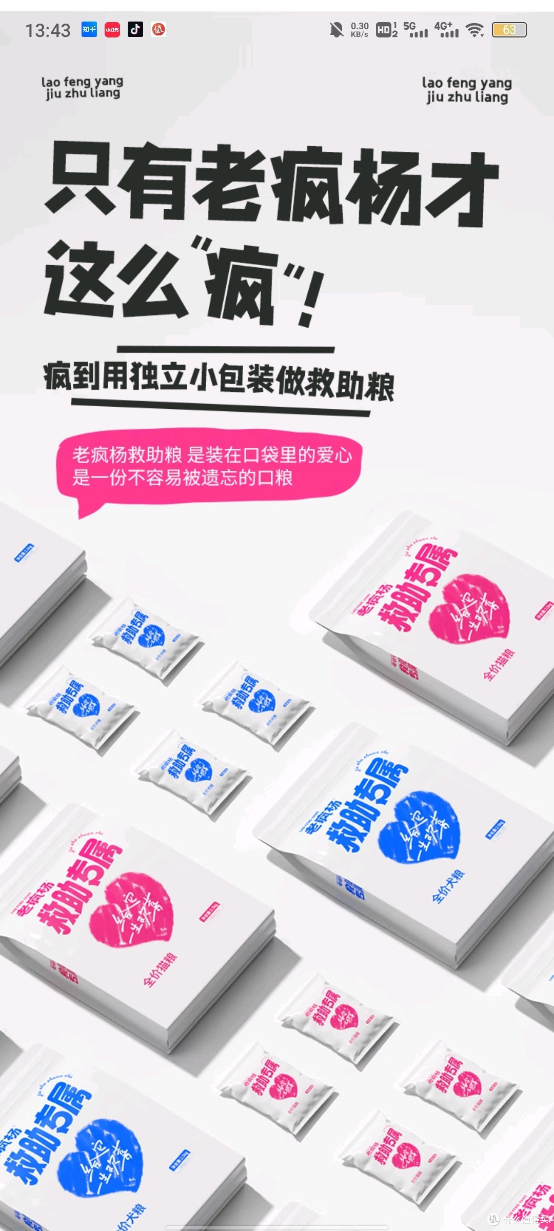 流浪街头的它们