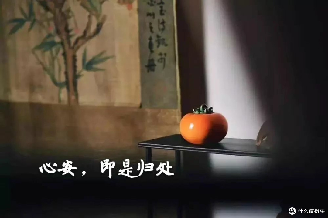 好书推荐 | 《心安即是归处》