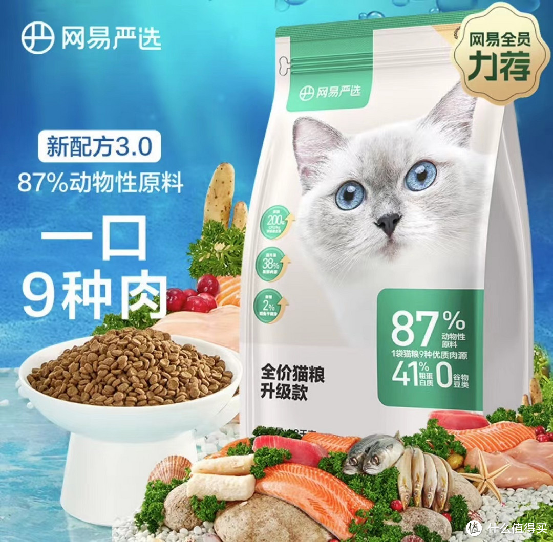 喵爪握手：养猫指南与爱心选购