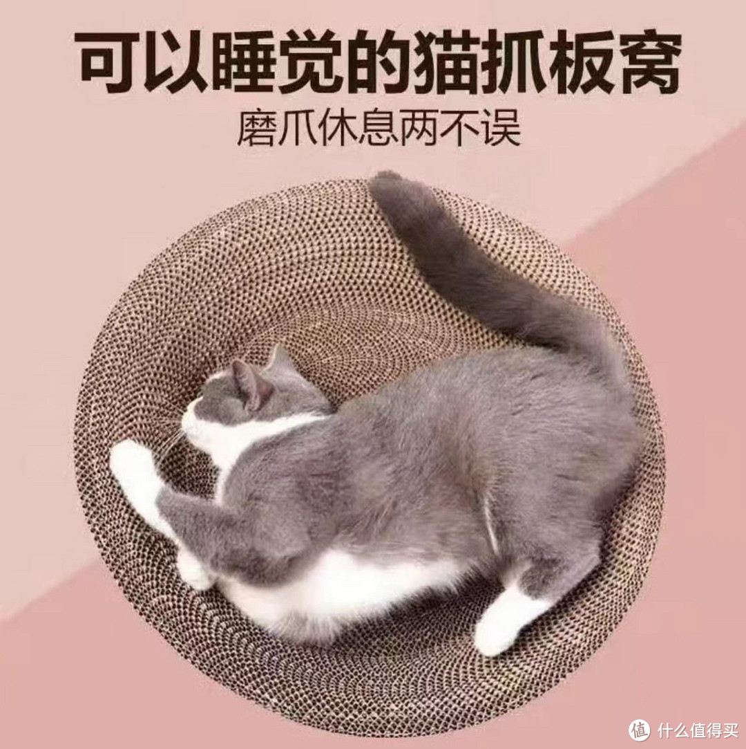 养猫的心得与体会