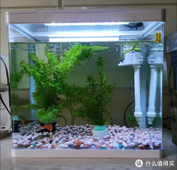 森森鱼缸水族箱：打造客厅生态绿洲，尽享自然之美