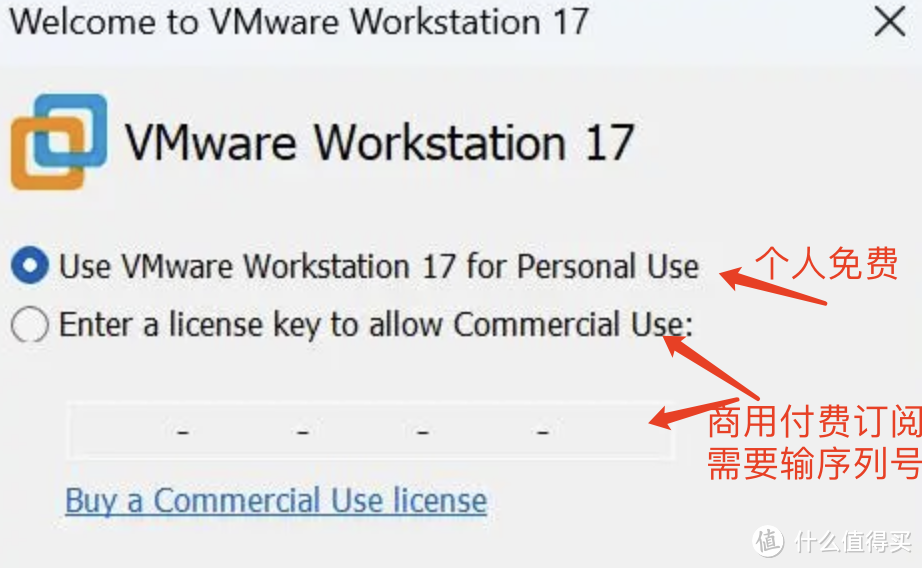 VMware 的 Pro 应用 ，提供两种许可模式