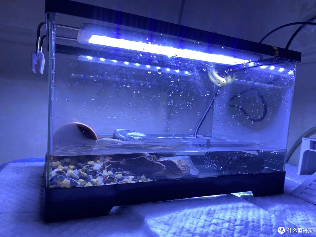 💦 鱼缸怎么选?看这篇,拒绝做鱼盲!💦🐠