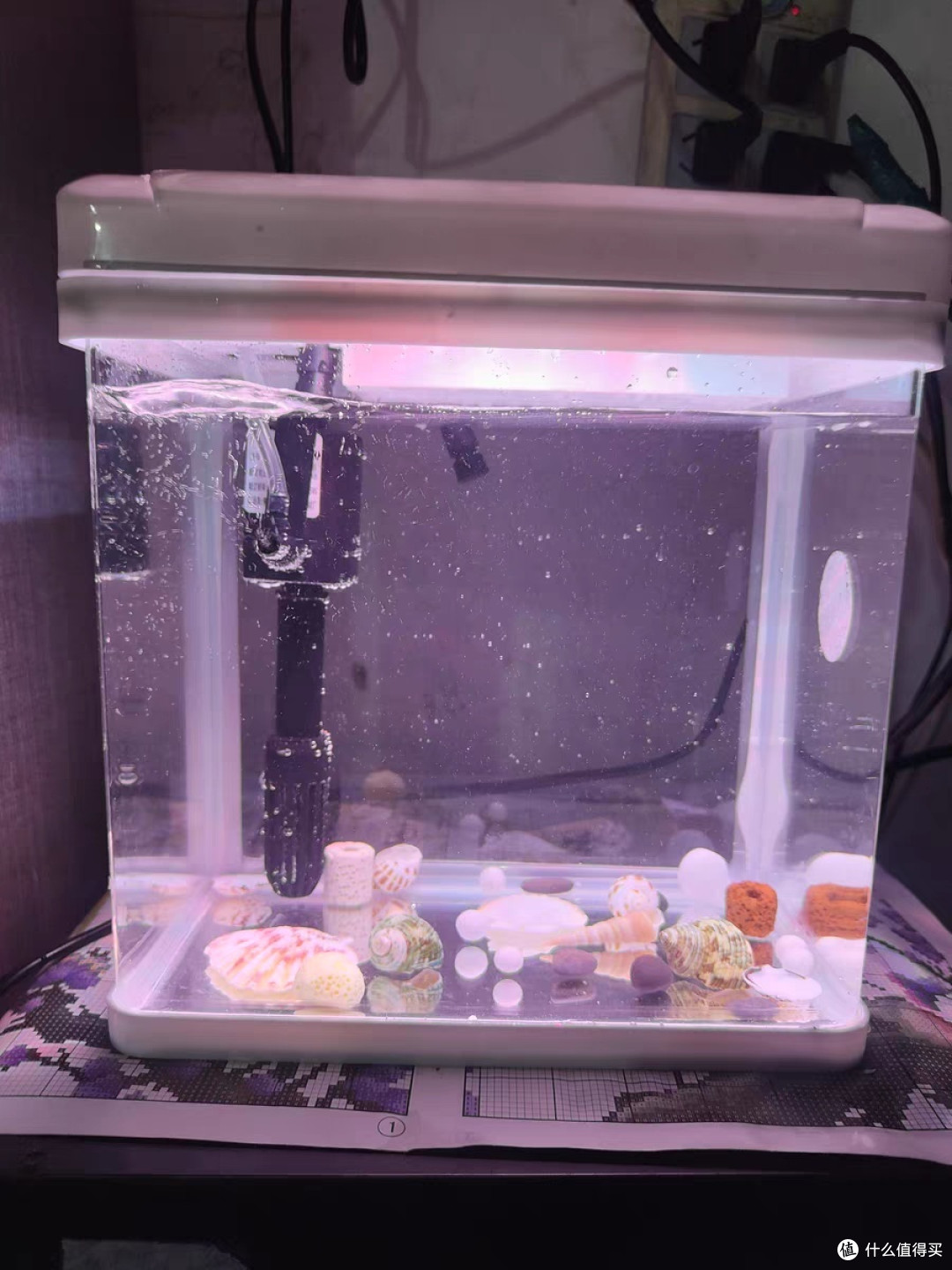 💦 鱼缸怎么选?看这篇,拒绝做鱼盲!💦🐠