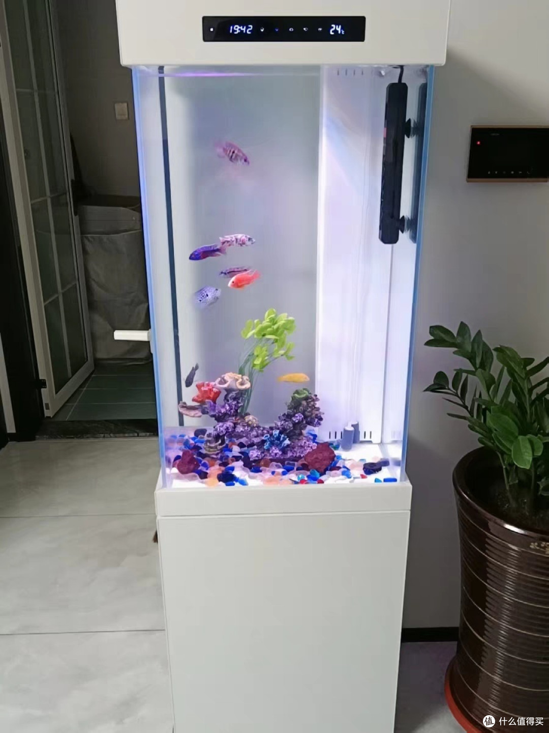 💦 鱼缸怎么选?看这篇,拒绝做鱼盲!💦🐠