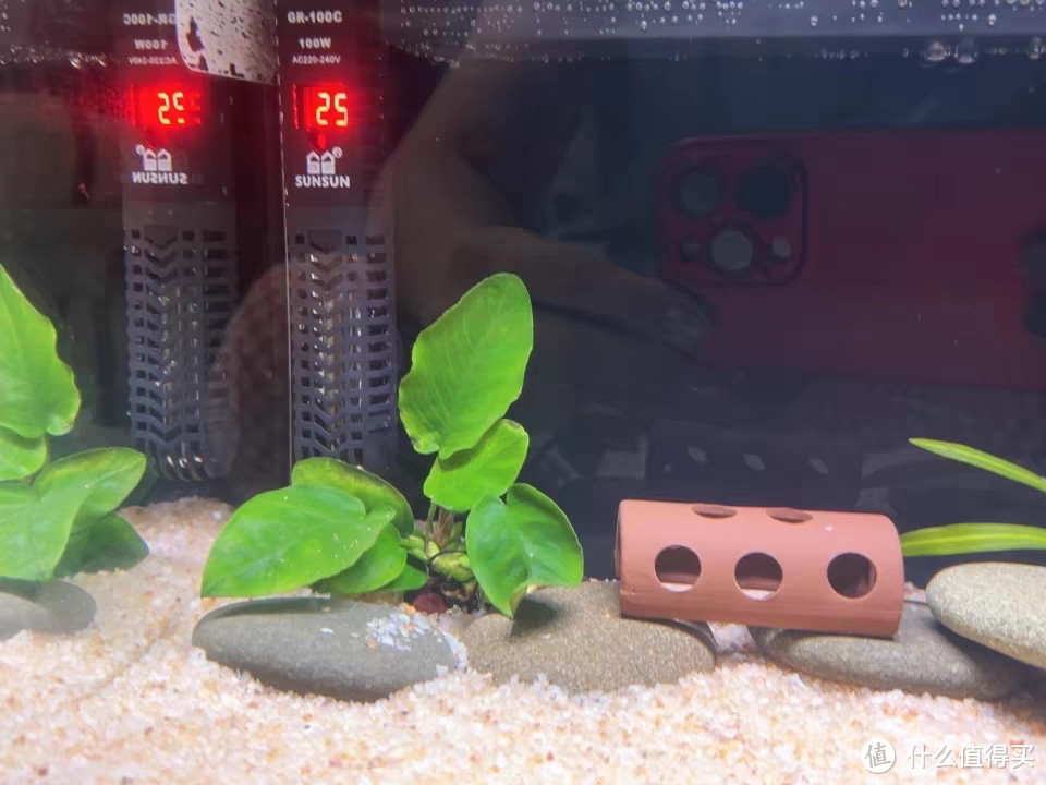 🐟在家也能拥有海洋奇缘？这款玻璃鱼缸让你的小窝变身水族馆！