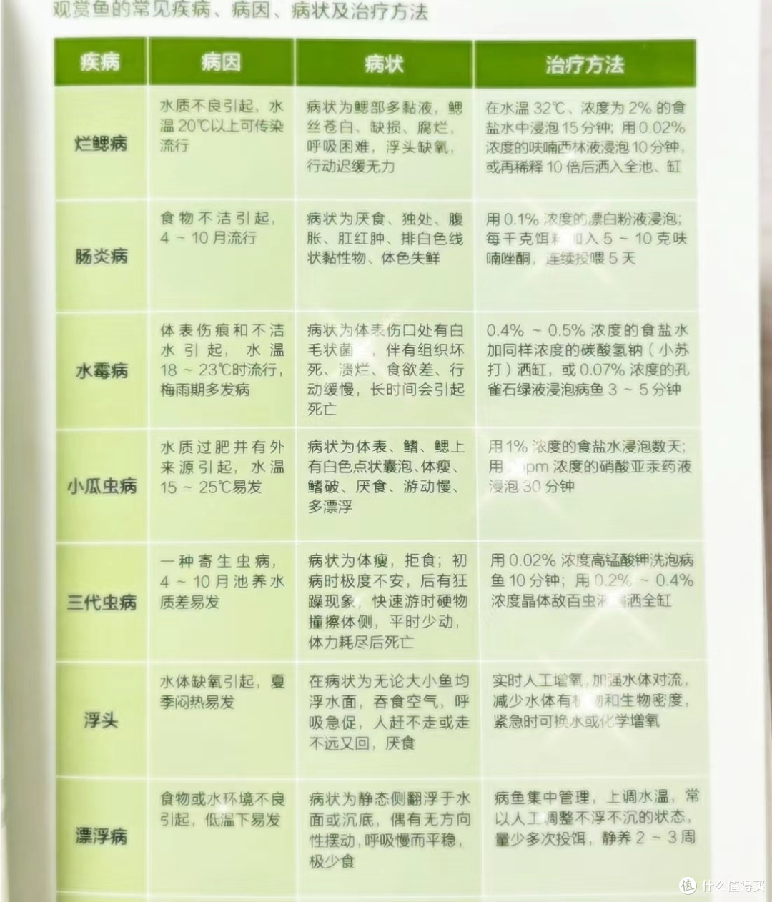 养鱼新手常见问题解答
