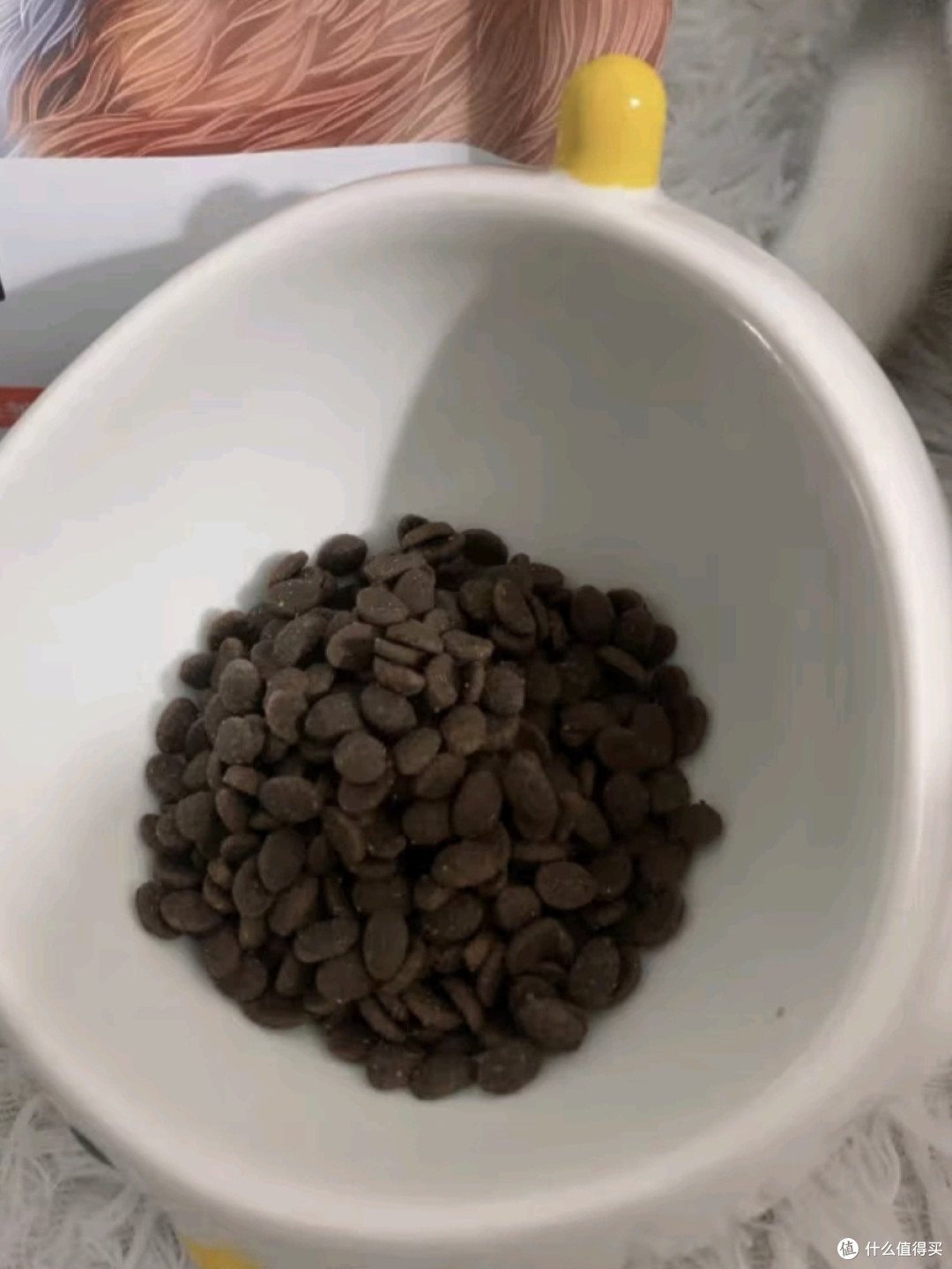 猫咪也能挑食?揭秘宠物猫的专属美味!