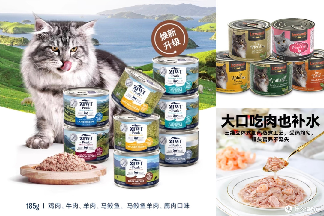 猫奴们看过来!猫罐头挑选指南来啦!