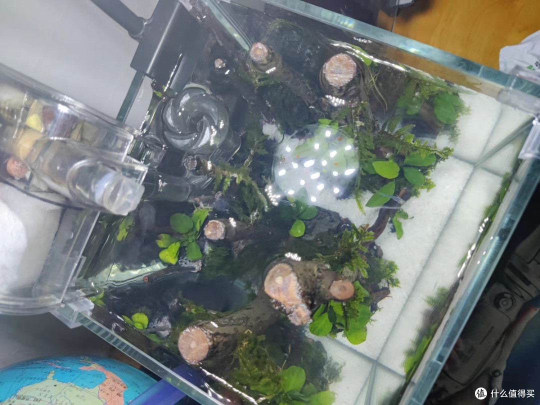新款超白斗鱼缸桌面缸水族造景缸