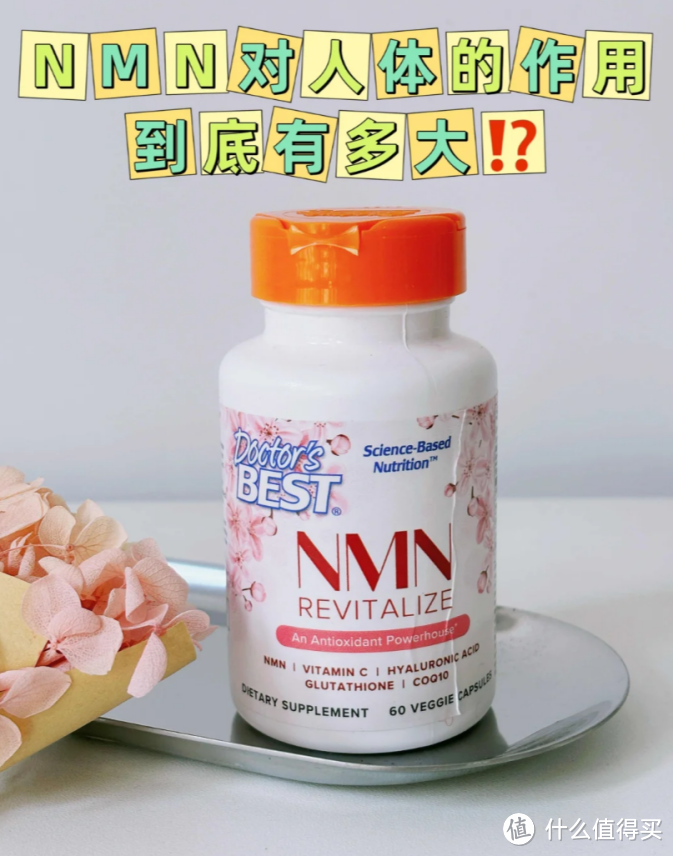 NMN是怎么影响身体机能的？