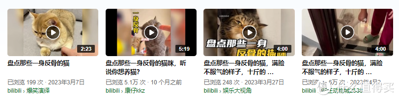 4个视频，3个品种猫做反骨猫的封面