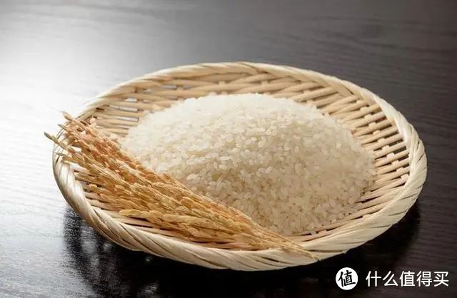 什么大米好吃排行榜，哪种大米最受欢迎？