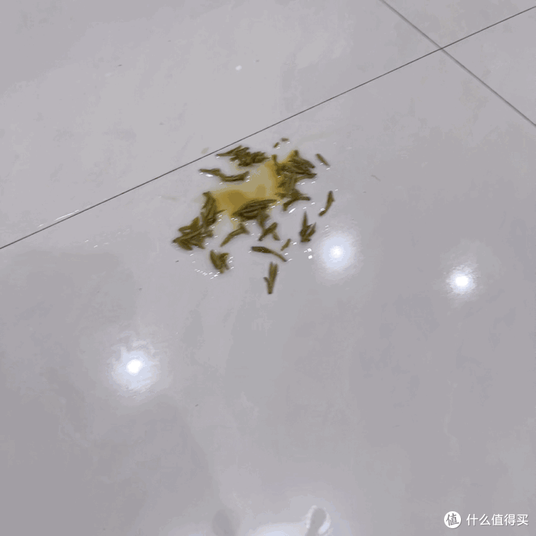深度测评 添可芙万Stretch S到底有啥本事?