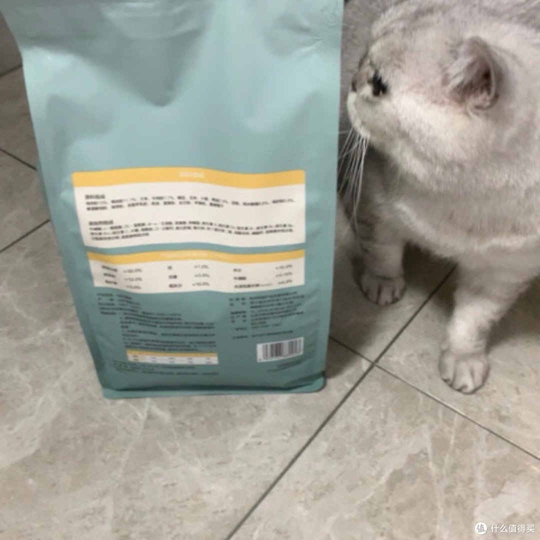 多给流浪猫一些关爱，让流浪猫不在“流浪”