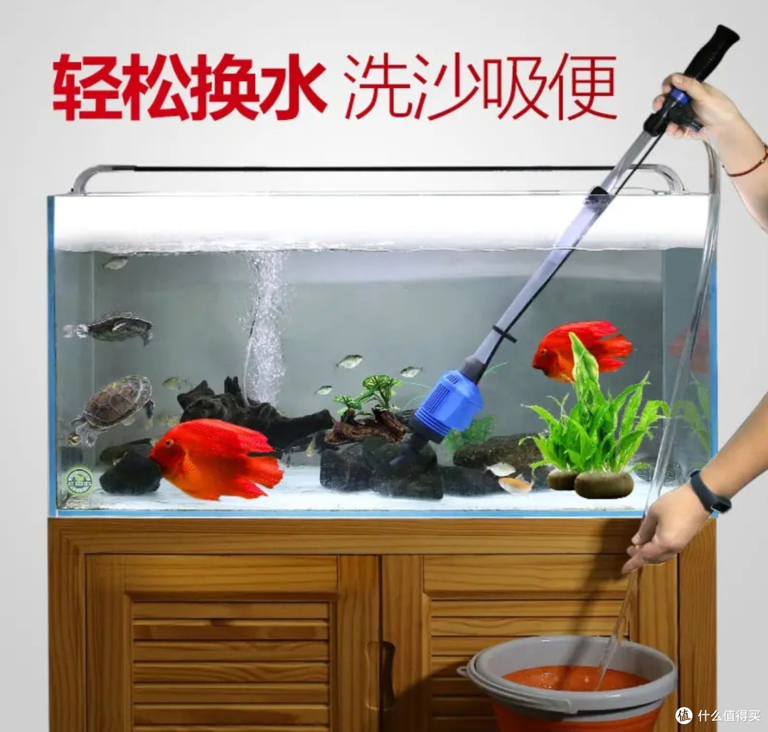 揭秘鱼缸不换水生态秘诀：助你打造持久清澈的水族乐园