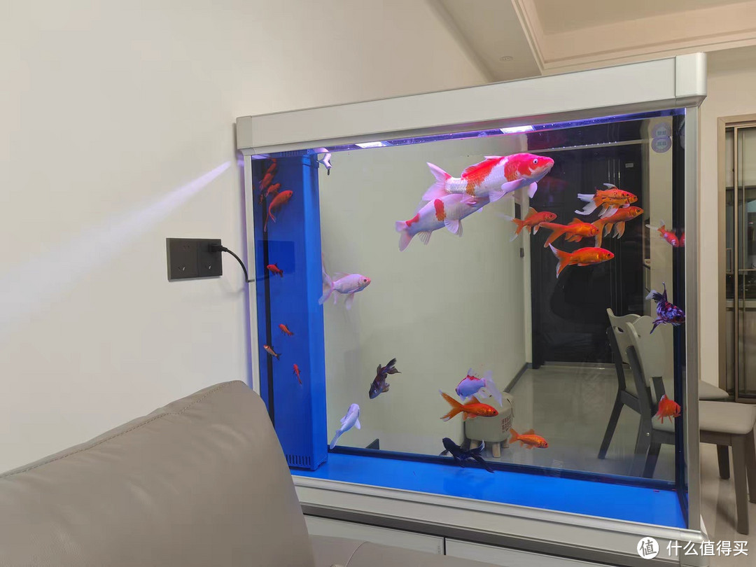 森森智能底滤客厅鱼缸——现代家居中的养鱼新体验