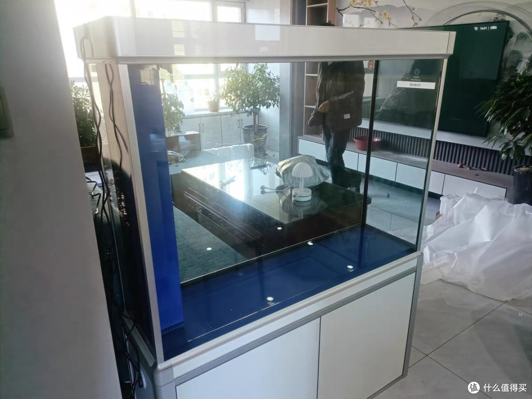 森森智能底滤客厅鱼缸现代家居中的养鱼新体验
