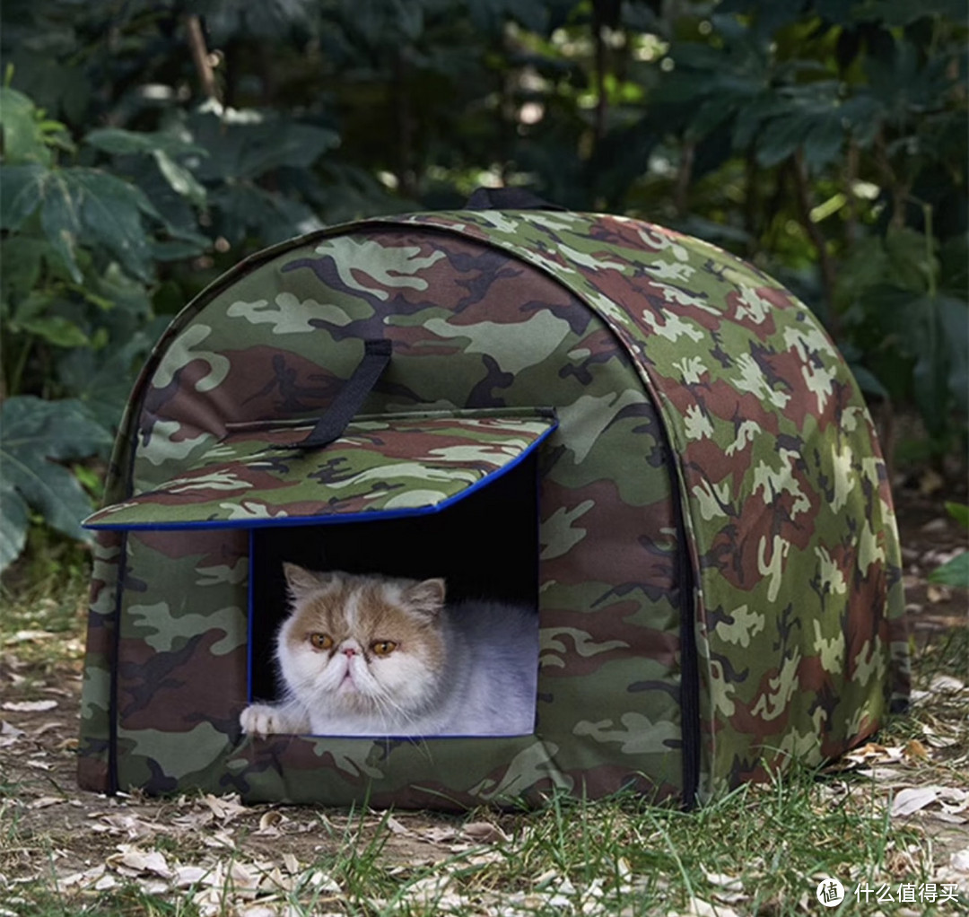 暖心行动：为流浪猫打造一个温暖猫窝！