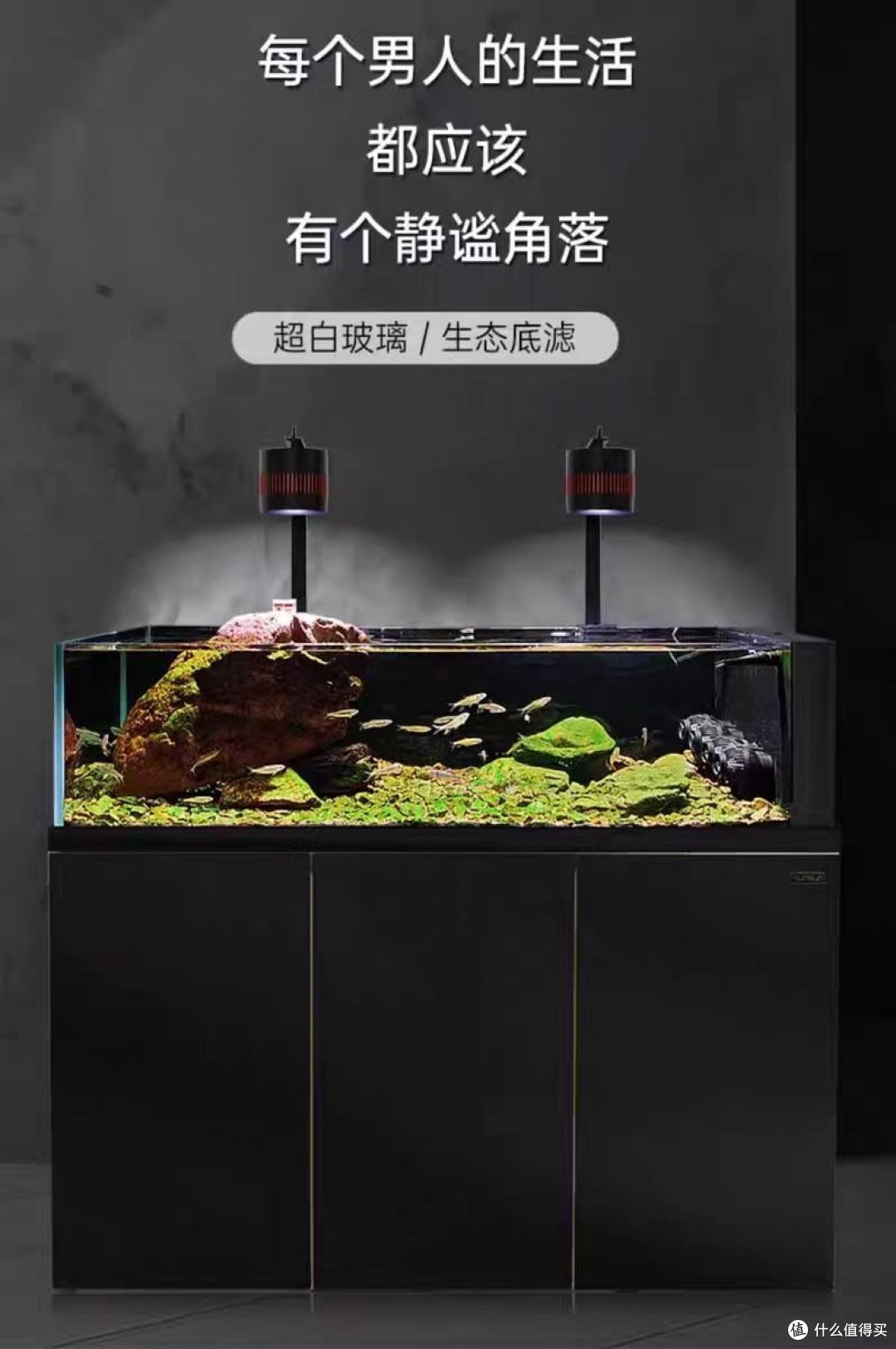 森森原生态溪流缸鱼缸打造你的客厅