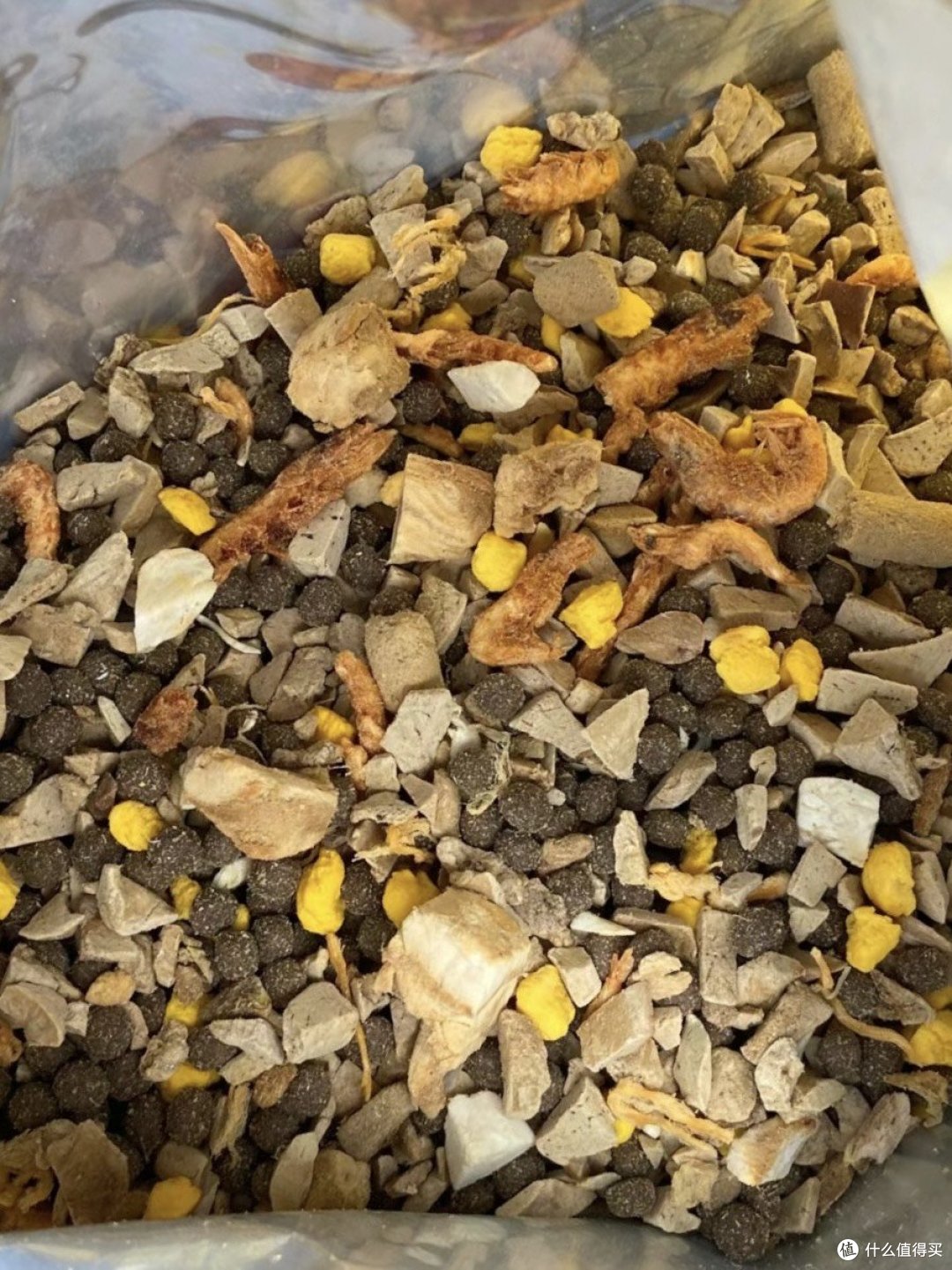 冻干猫粮：为猫咪带来更健康的生活方式