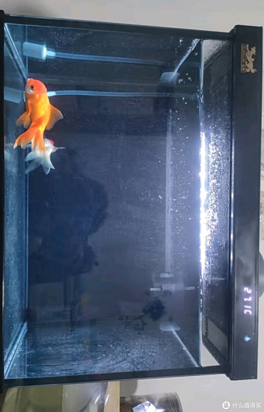 i鱼v，森森金麟超白玻璃鱼缸客厅小型懒人鱼缸LE-380家用水族箱生态金鱼缸