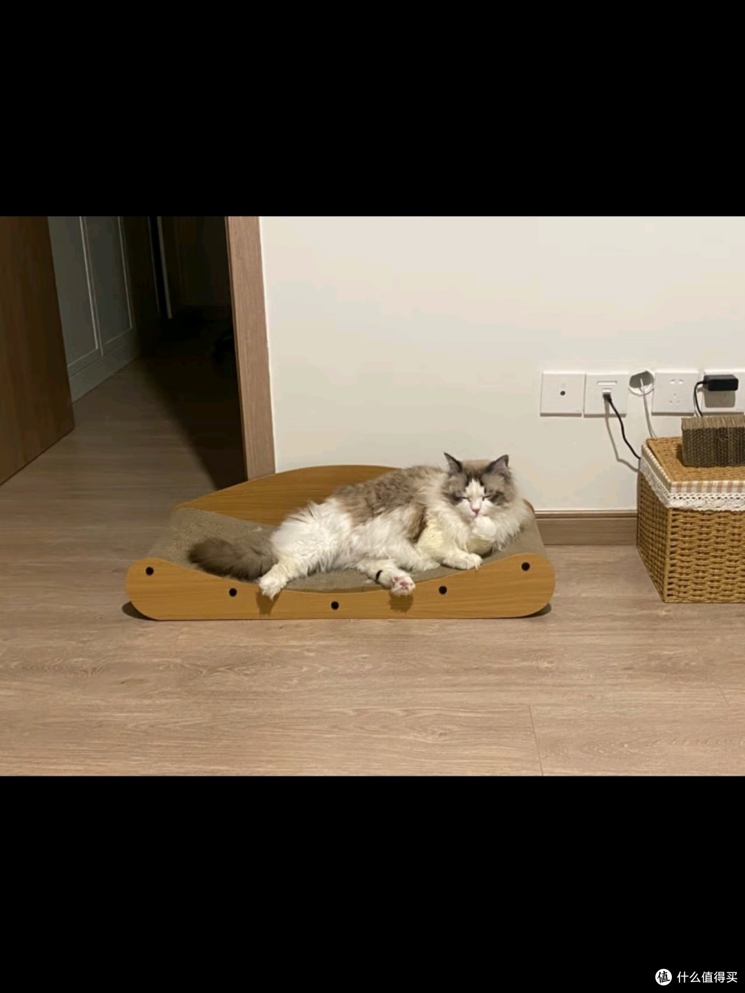 被种草的猫窝