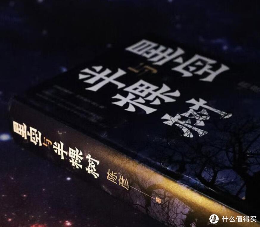 《贫民窟的百万富翁》在《星空与半颗树》下观赏《鳄鱼》