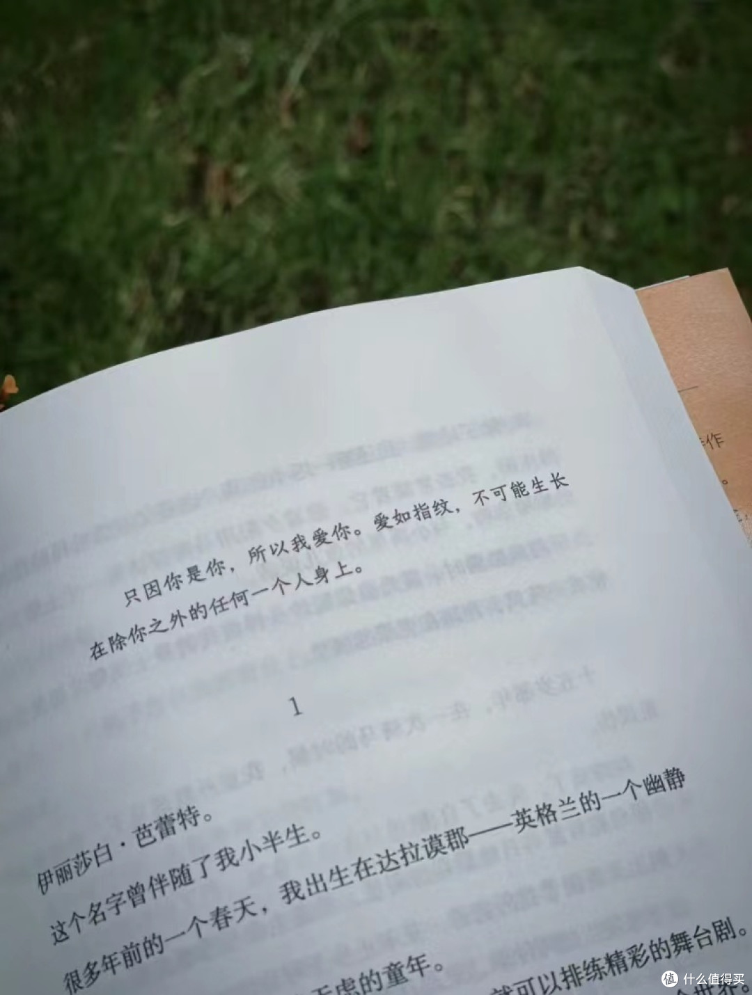 美到窒息!恨不得把整本书都摘抄下来!