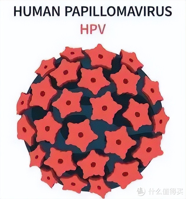 HPV感染真的只有性传播吗？