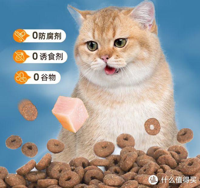 如何选购猫粮呢？三款多口味猫粮，让它们健康成长！