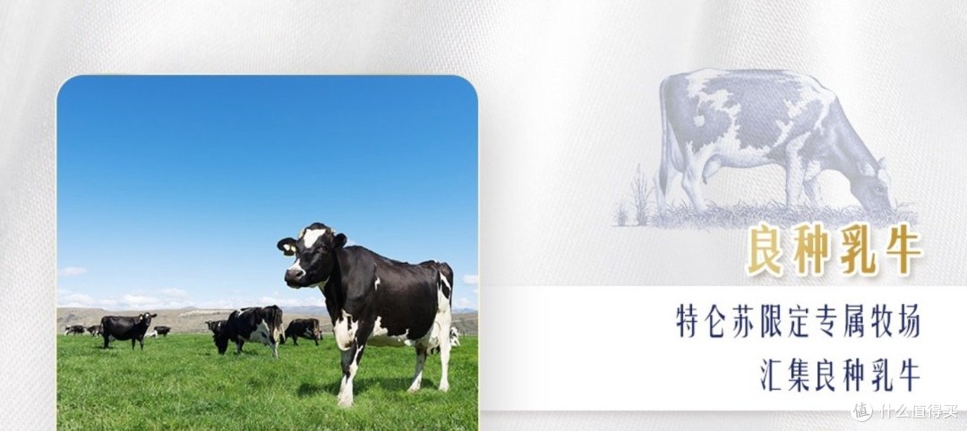 蒙牛特仑苏全脂纯牛奶:好喝又营养的选择!
