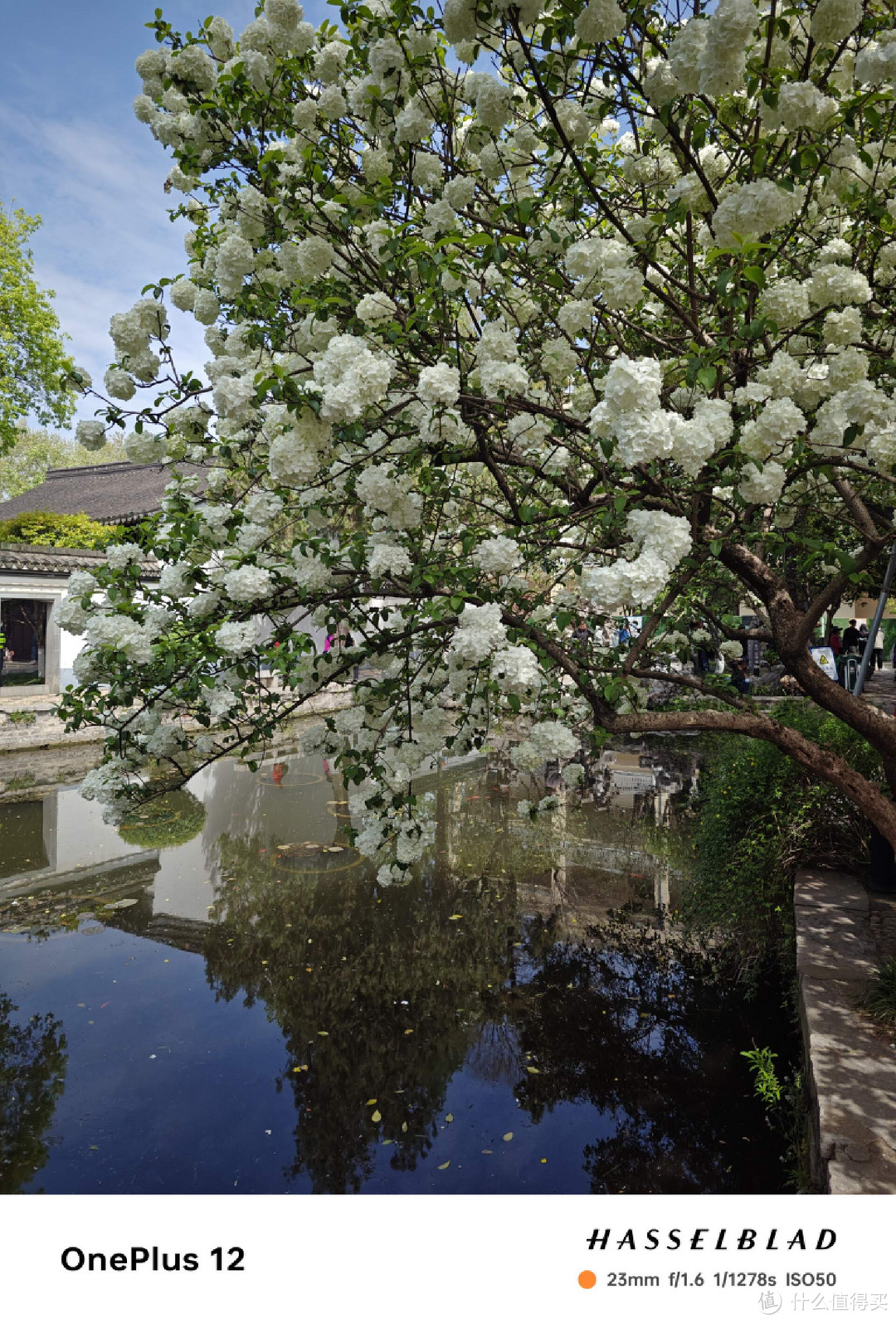 南京旅游攻略：红山动物园、南博、夫子庙，用手机记录美好瞬间！