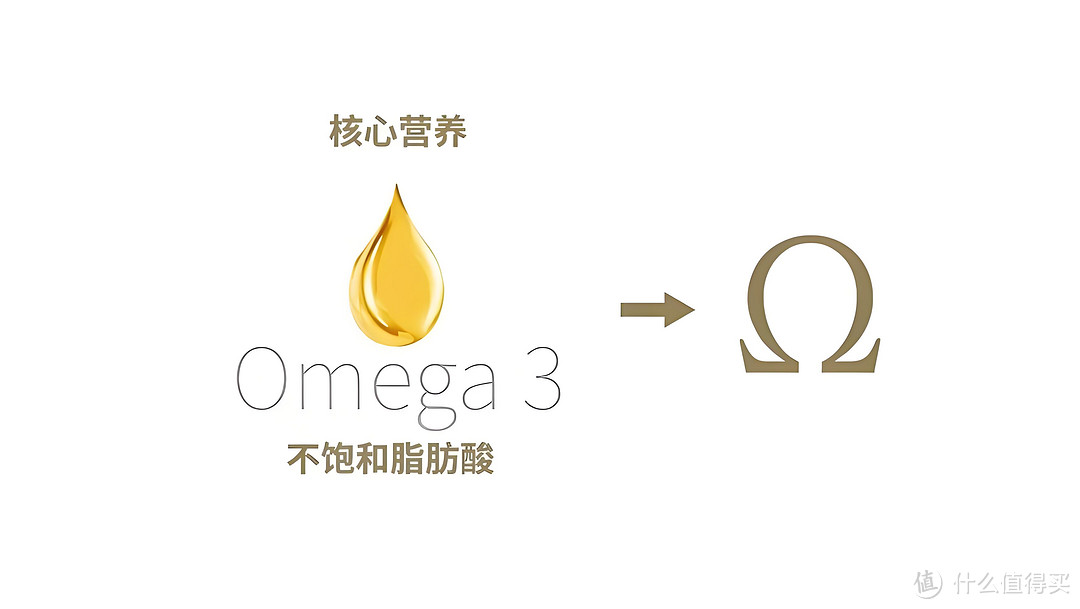 深度分析：鱼油Omega-3脂肪酸对身体的6大益处以及4款热销鱼油品牌推荐