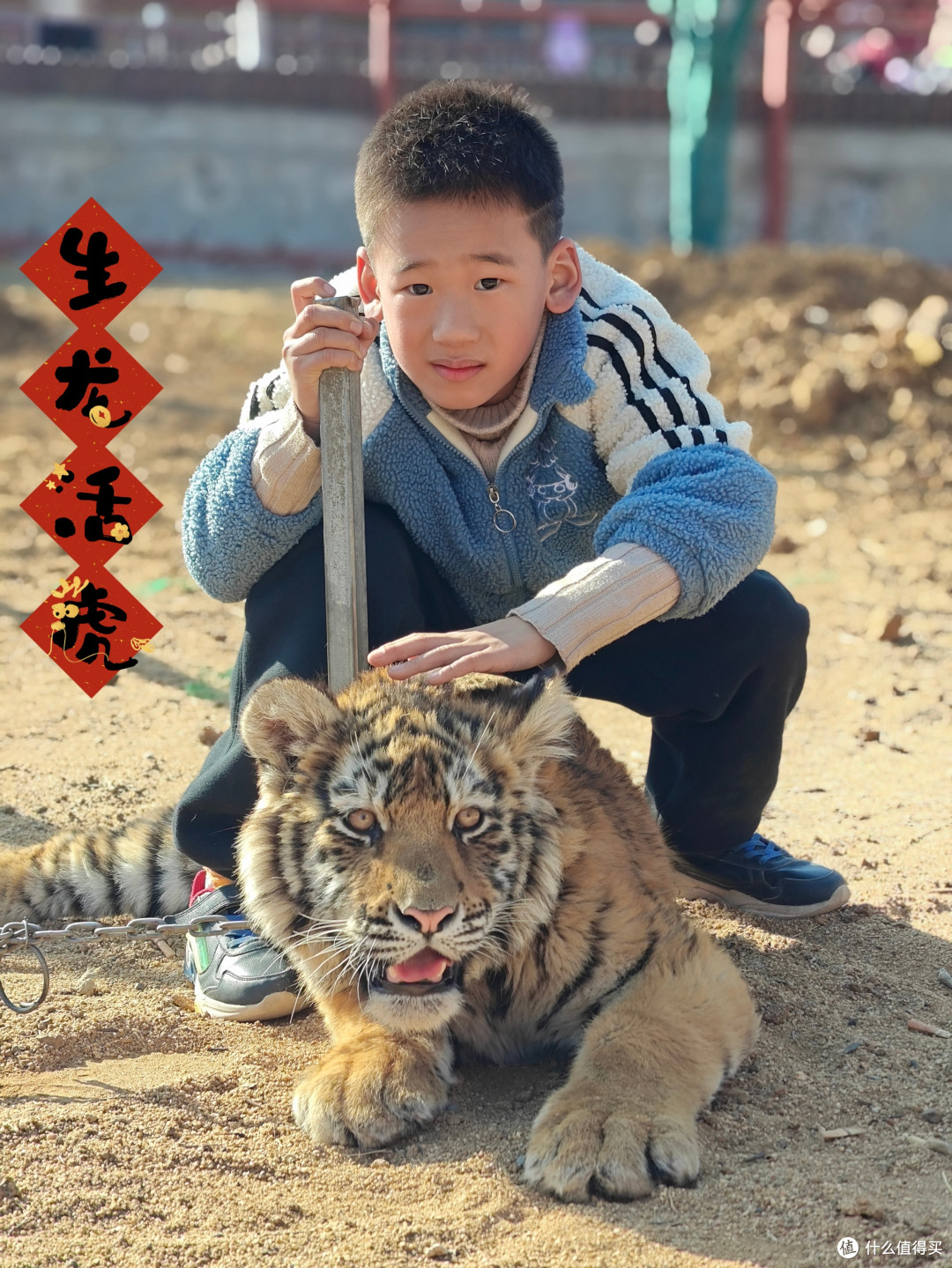 被耽误的4k旗舰，一加12出门旅拍有它足矣！从此单反微单家里蹲