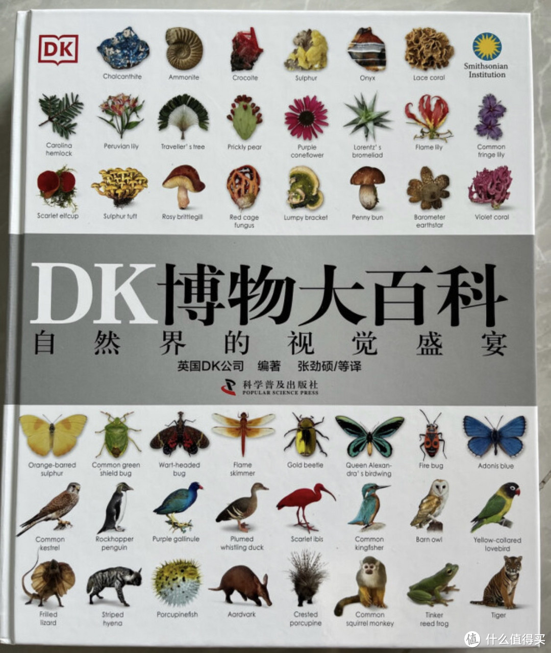 《DK博物大百科：自然界的视觉盛宴》