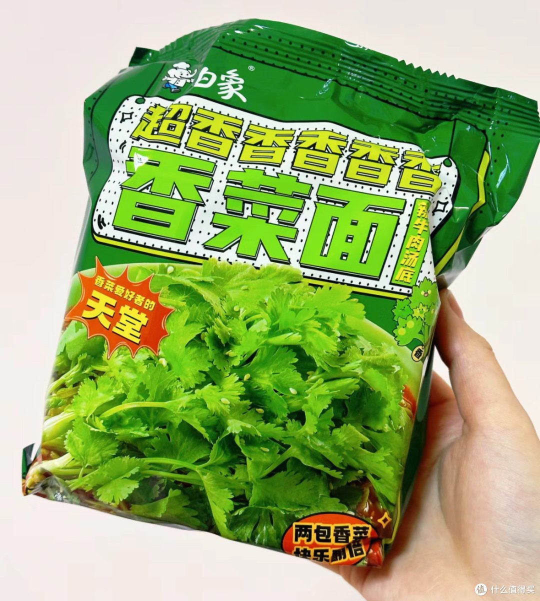 白象香菜面,味蕾的盛宴