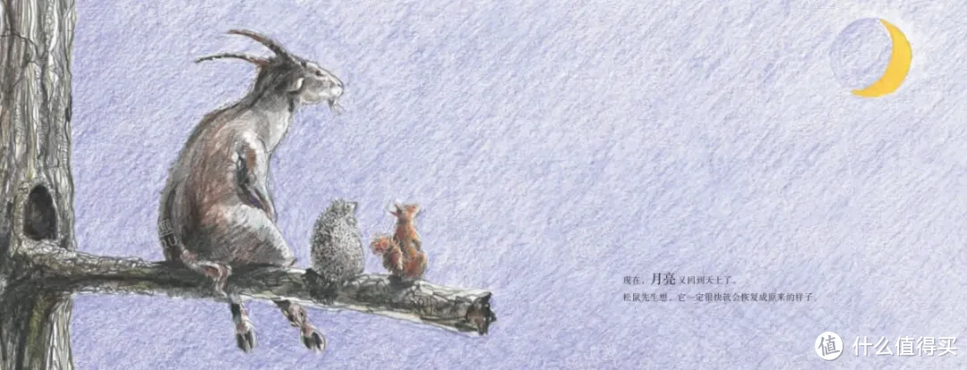 畅销全球的“松鼠先生”系列想象力绘本又出新书啦！！