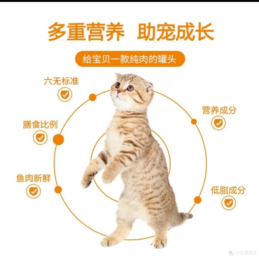 多重营养，助猫成长！麦富迪猫罐头618多囤点儿，价格很优惠