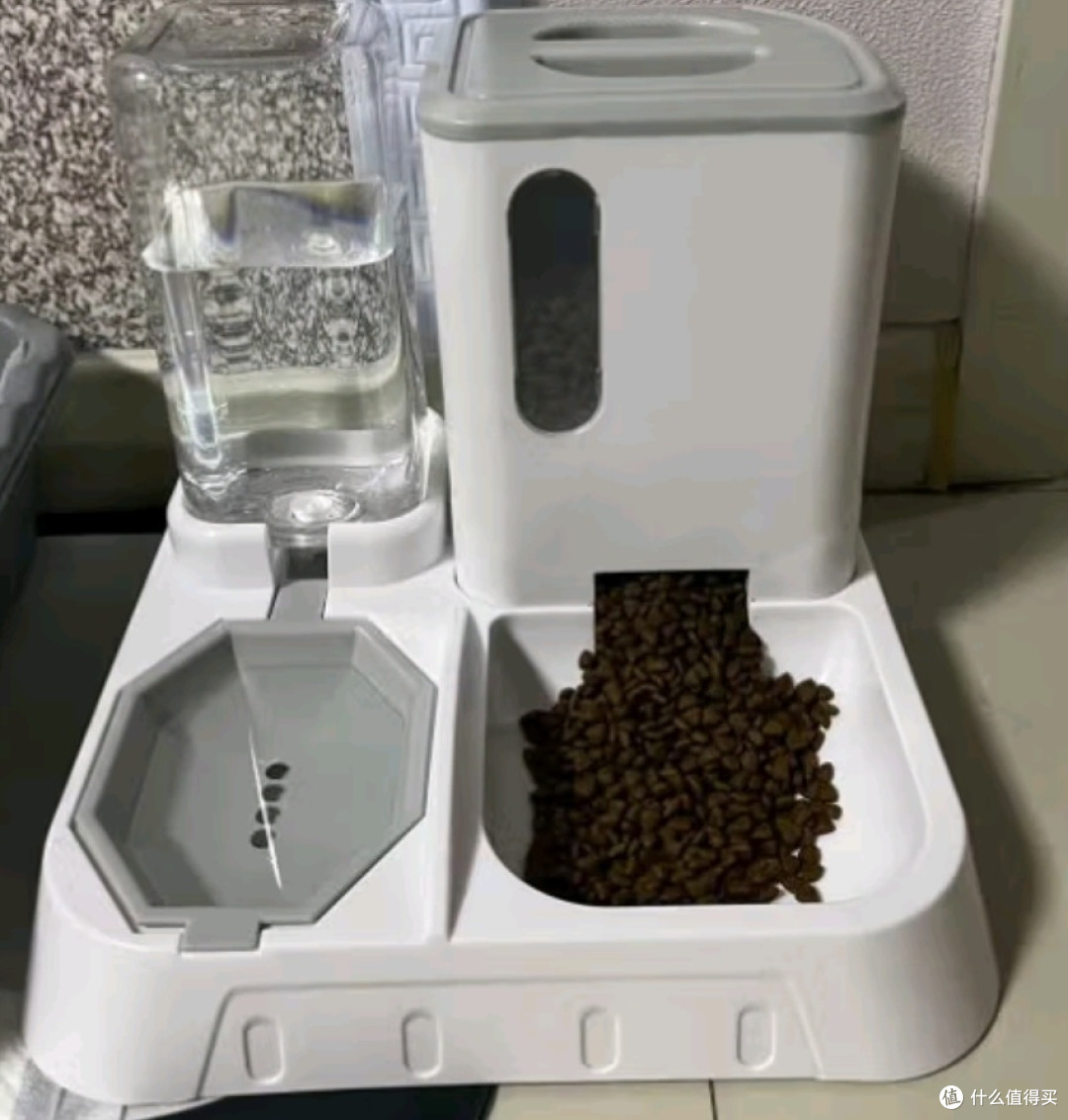 自动喂食器与猫咪的温馨相伴