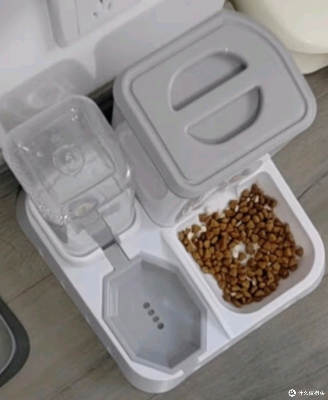 自动喂食器与猫咪的温馨相伴