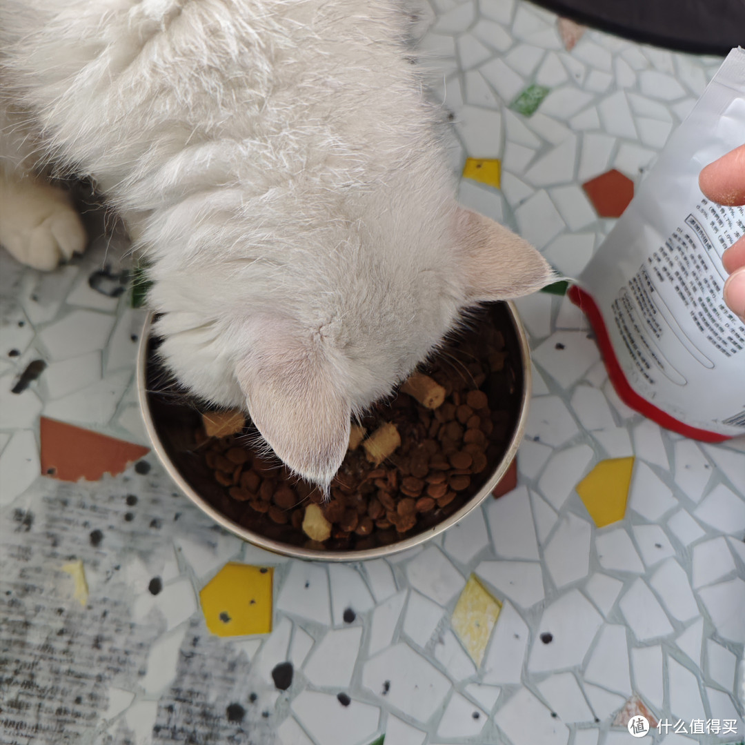 冻干盛宴！七彩缦猫零食，让爱宠更健康！