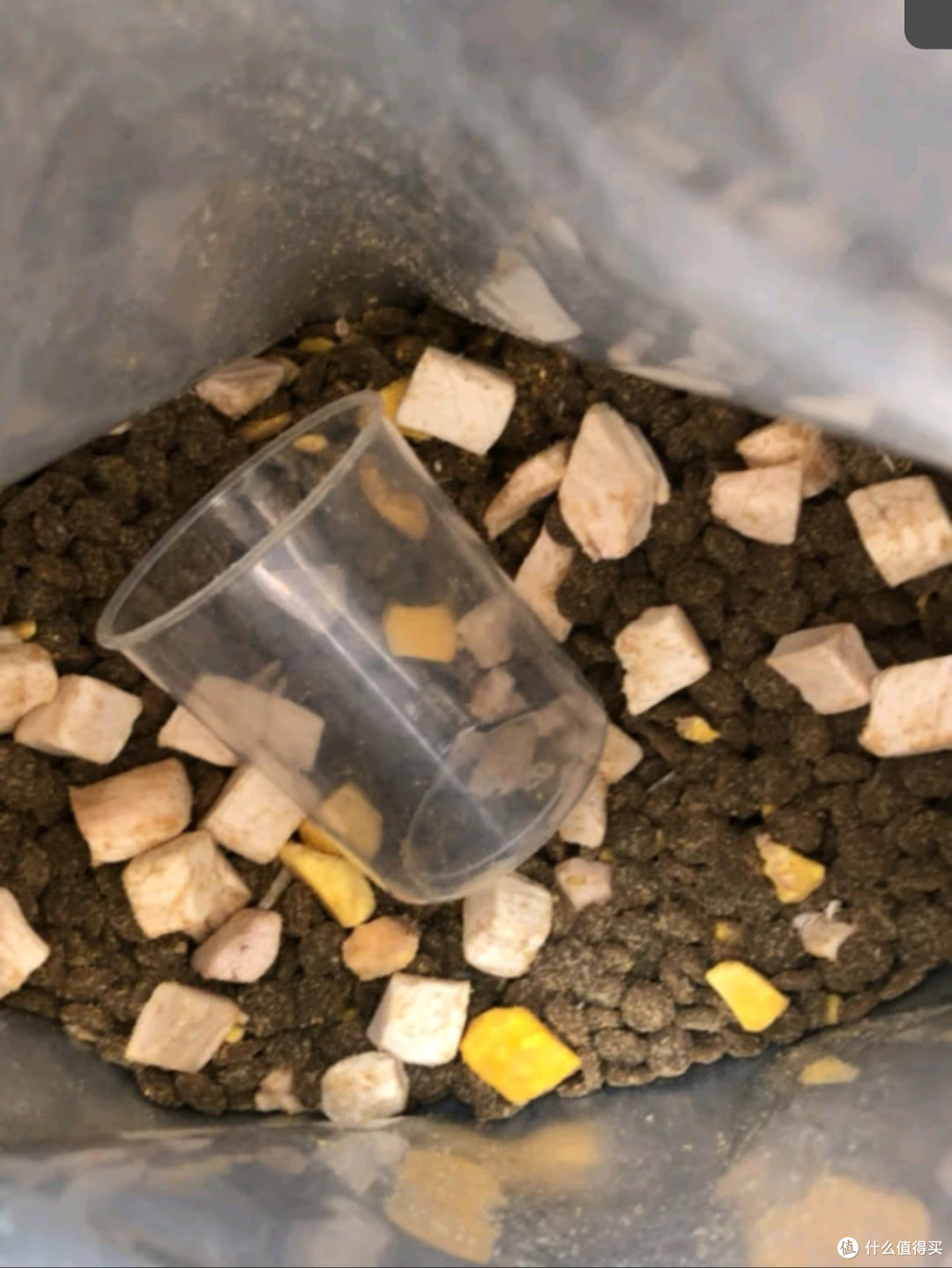 分享挺不错的猫粮