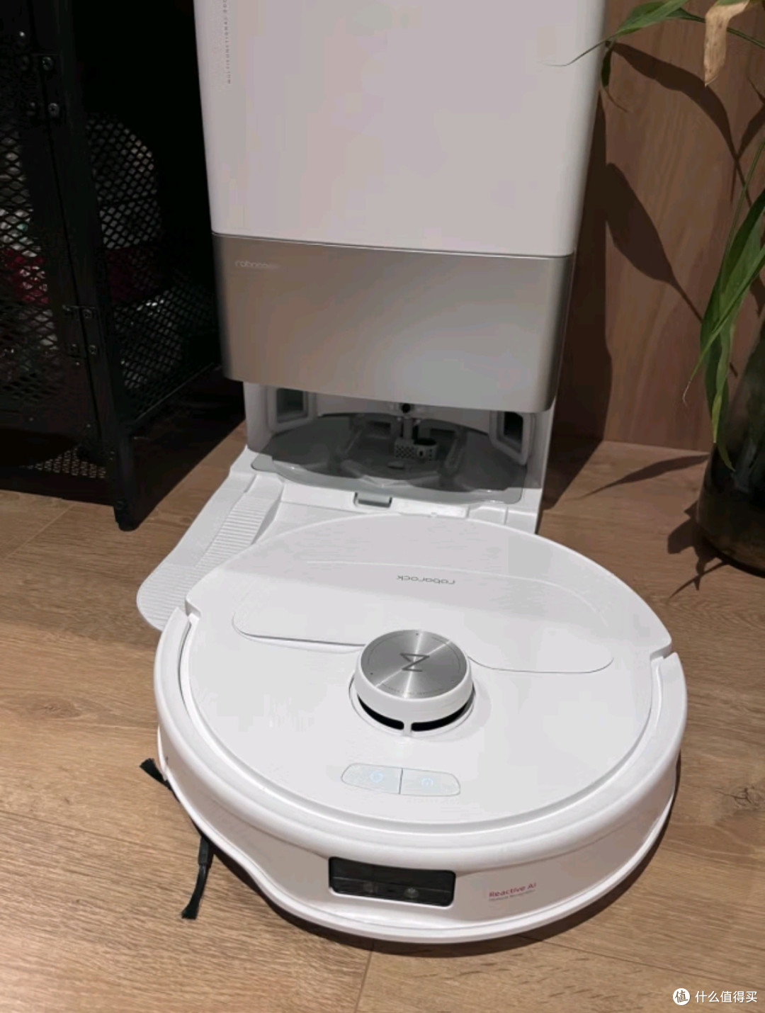 石头(roborock)扫地机器人P10S Pro:智能清洁,一步到位
