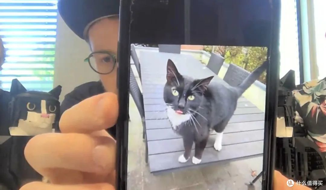 Jordan David Scott和他的猫