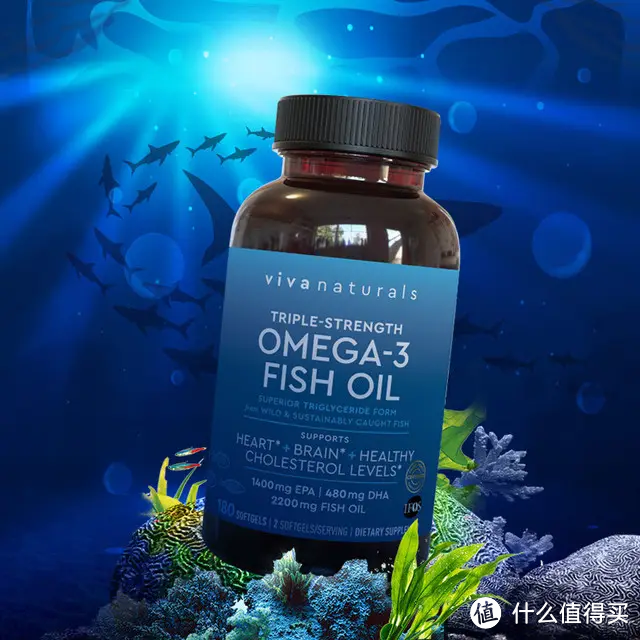 十大鱼（肝）油品牌评测，我们应该吃鱼油还是鱼肝油呢？